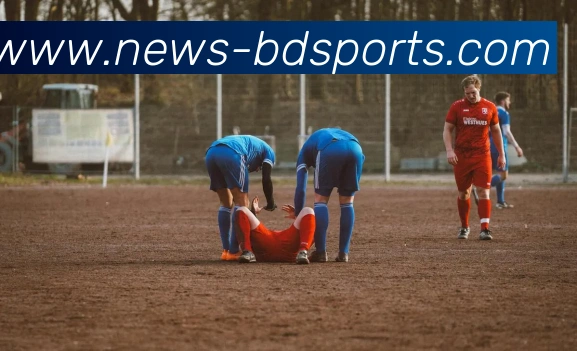 半岛体育服务体系